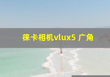 徕卡相机vlux5 广角